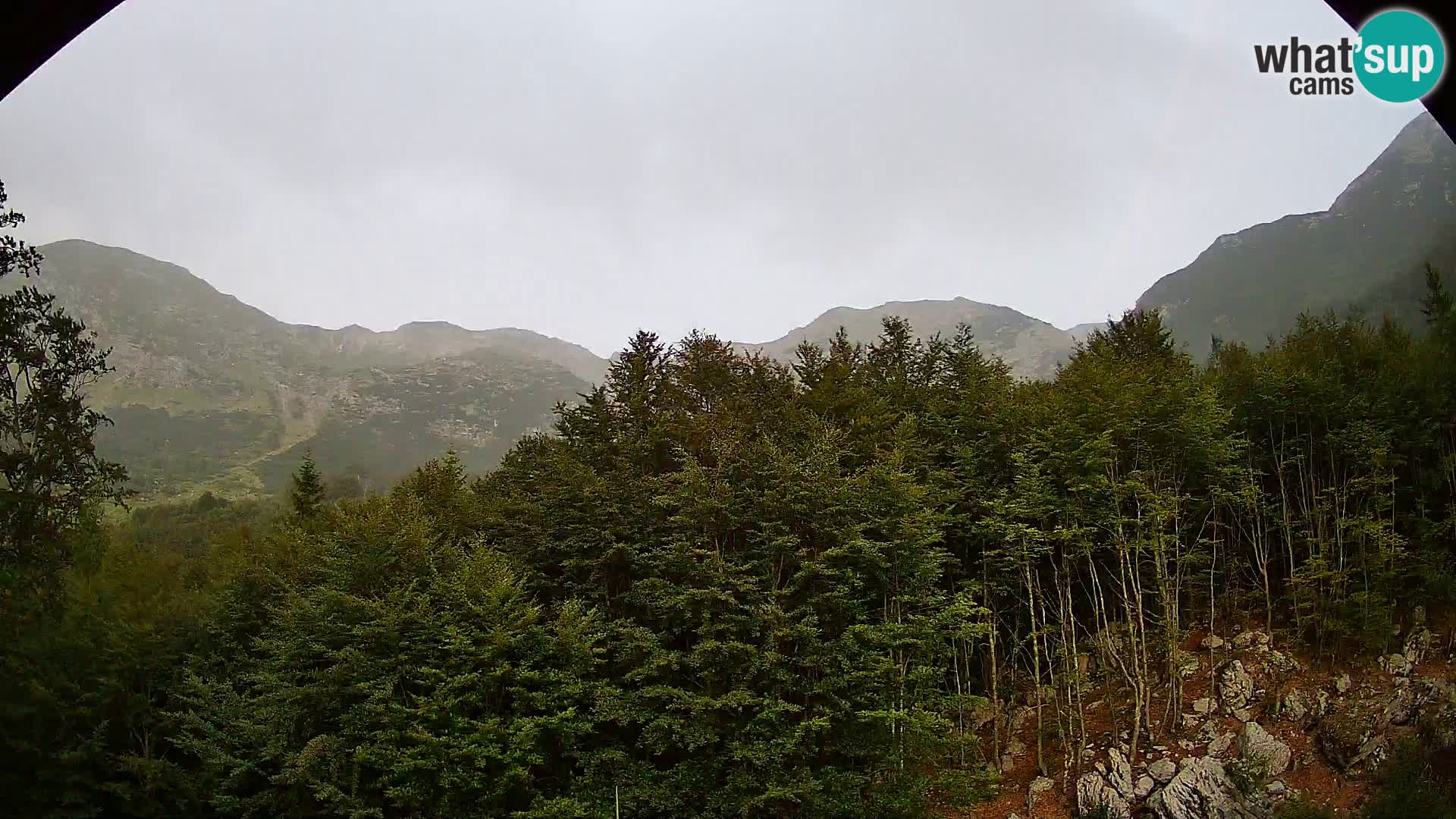 PLANINA RAZOR kamera (1315) | pogled na Vogel in Globoko