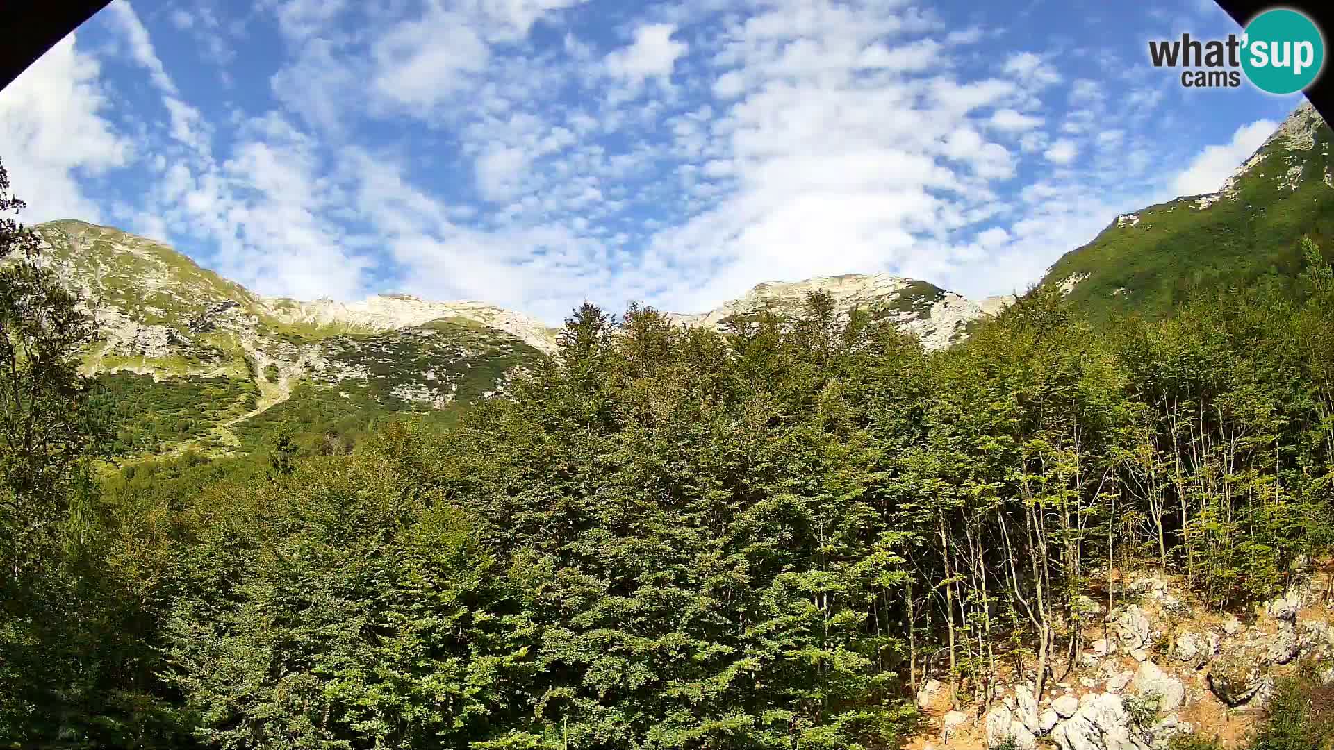 PLANINA RAZOR kamera (1315) | pogled na Vogel in Globoko