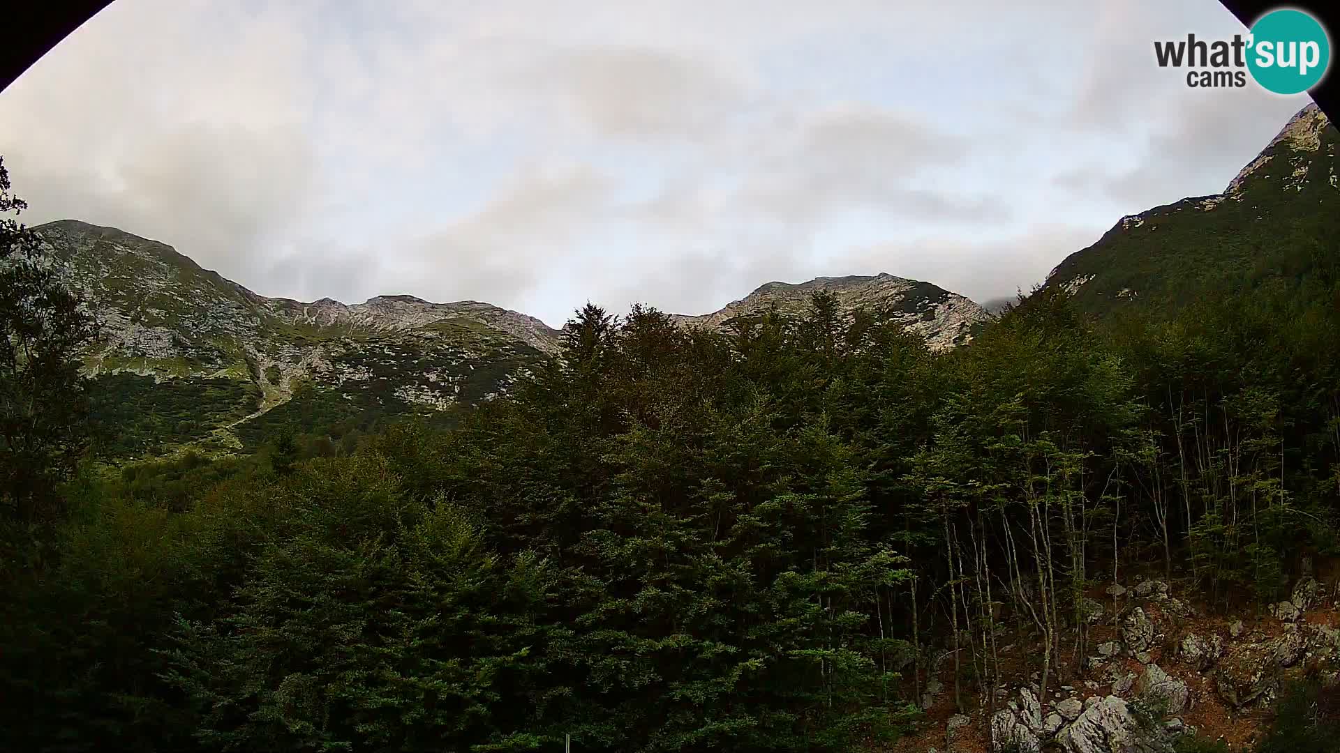 PLANINA RAZOR webcam (1315) | view to Vogel and Globoko