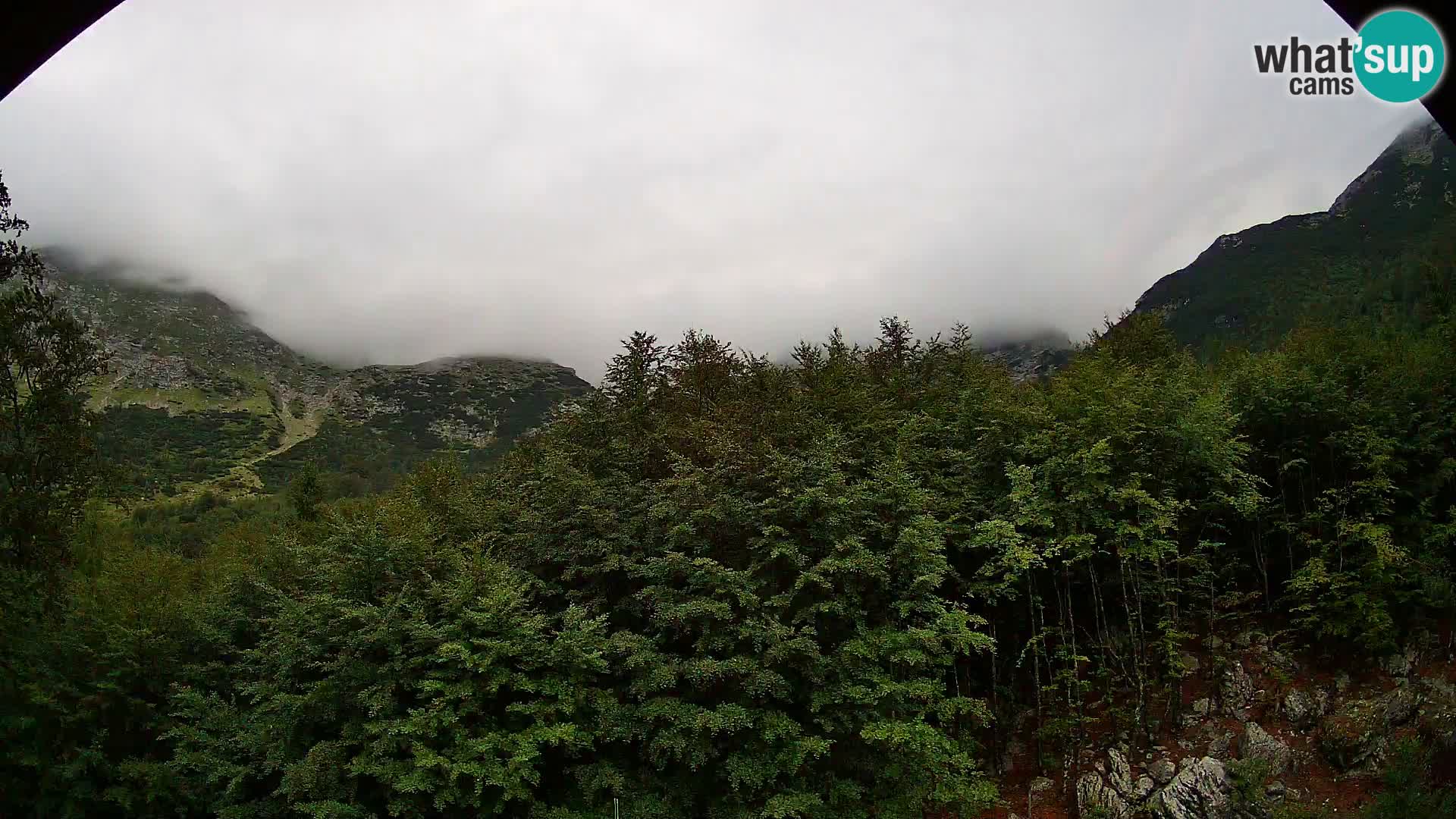 Webcam PLANINA RAZOR (1315) | Blick auf Vogel und Globoko