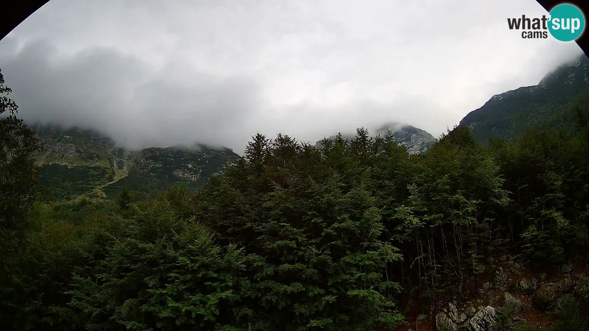 PLANINA RAZOR Live Cam (1315) | vista su Vogel e Globoko