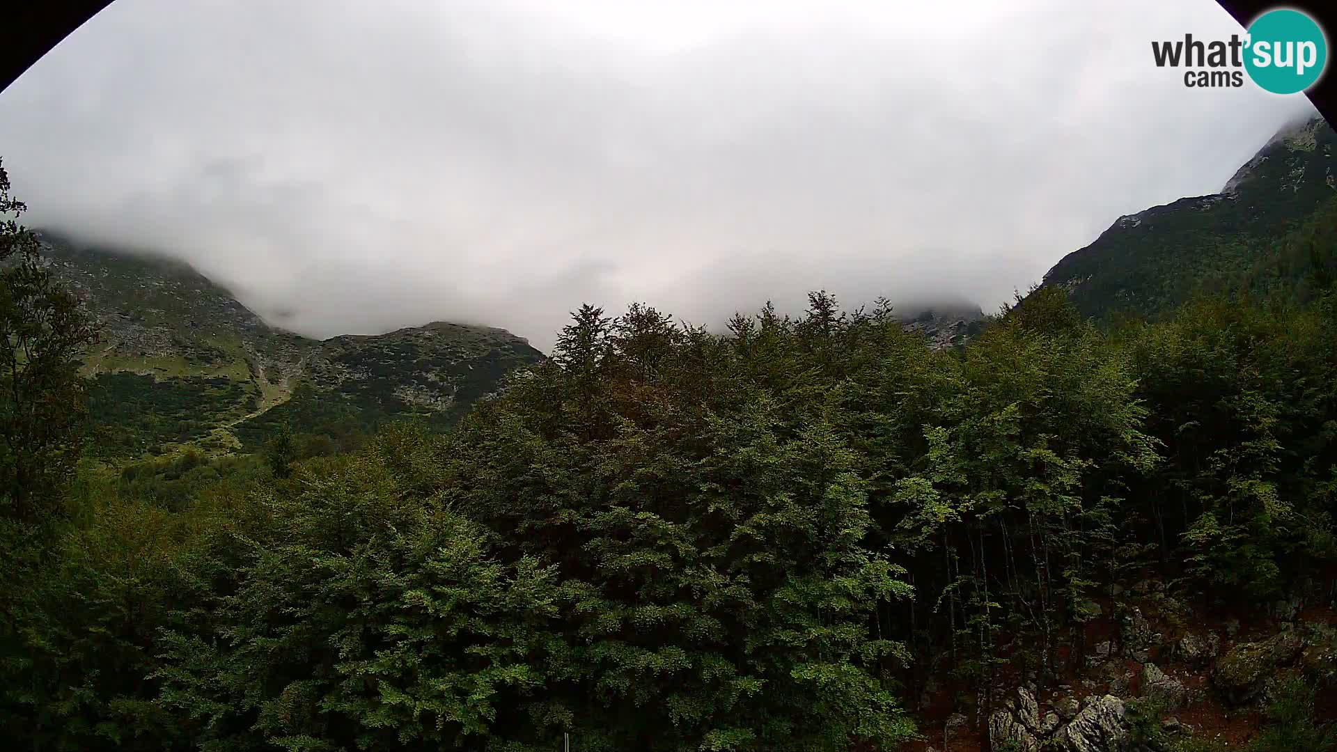 Webcam PLANINA RAZOR (1315) | Blick auf Vogel und Globoko