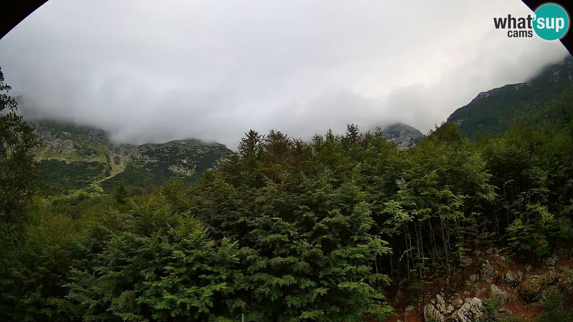 Cámara web PLANINA RAZOR (1315) | vista a Vogel y Globoko