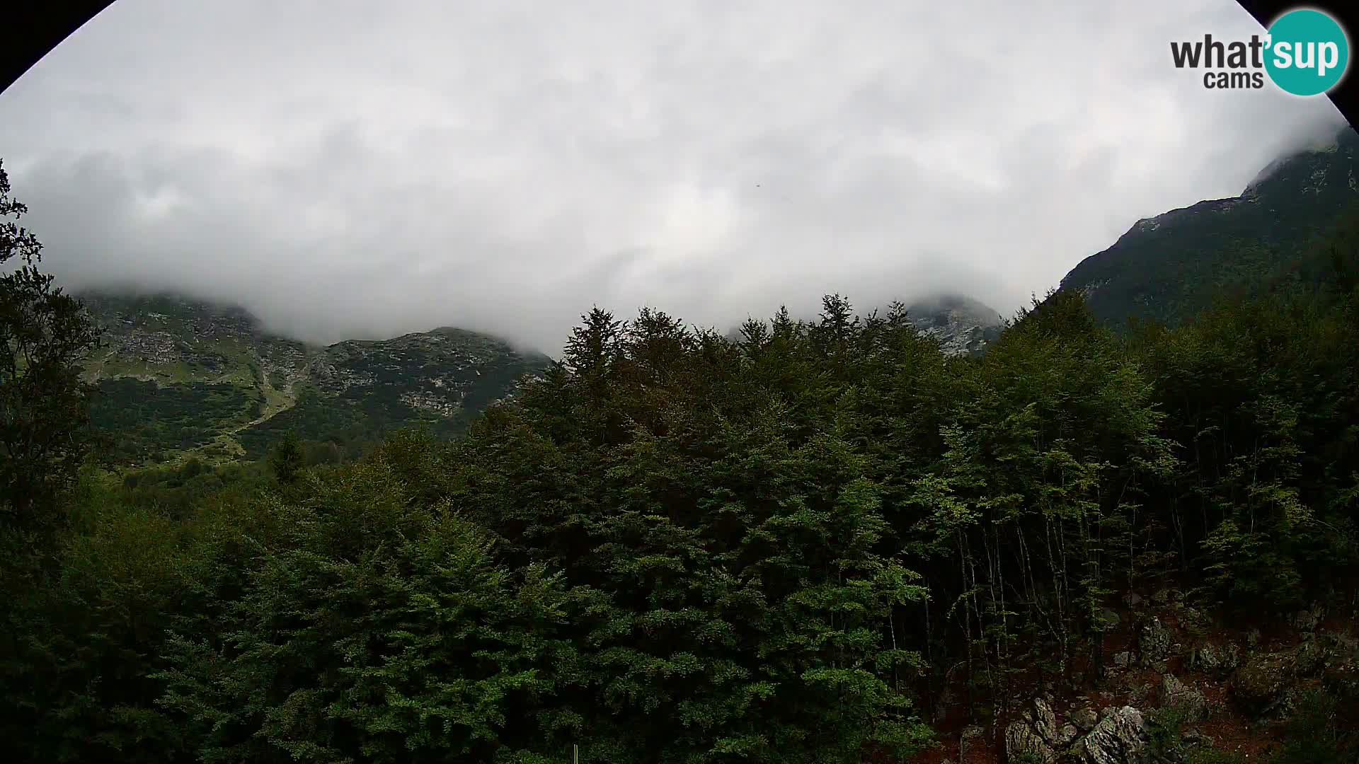 Webcam PLANINA RAZOR (1315) | Blick auf Vogel und Globoko
