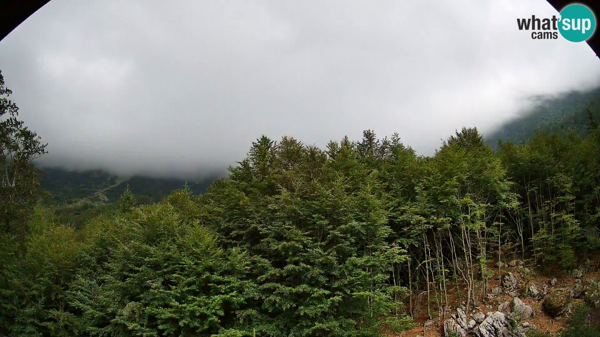 PLANINA RAZOR kamera (1315) | pogled na Vogel in Globoko