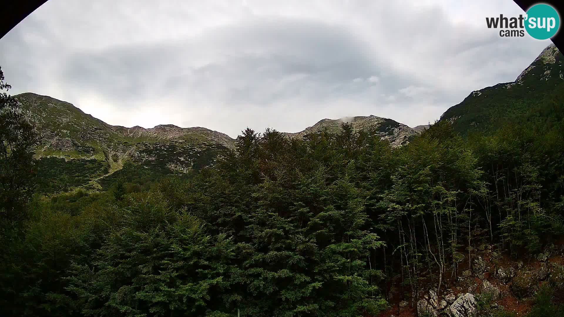 Livecam PLANINA RAZOR (1315) | vue sur Vogel et Globoko