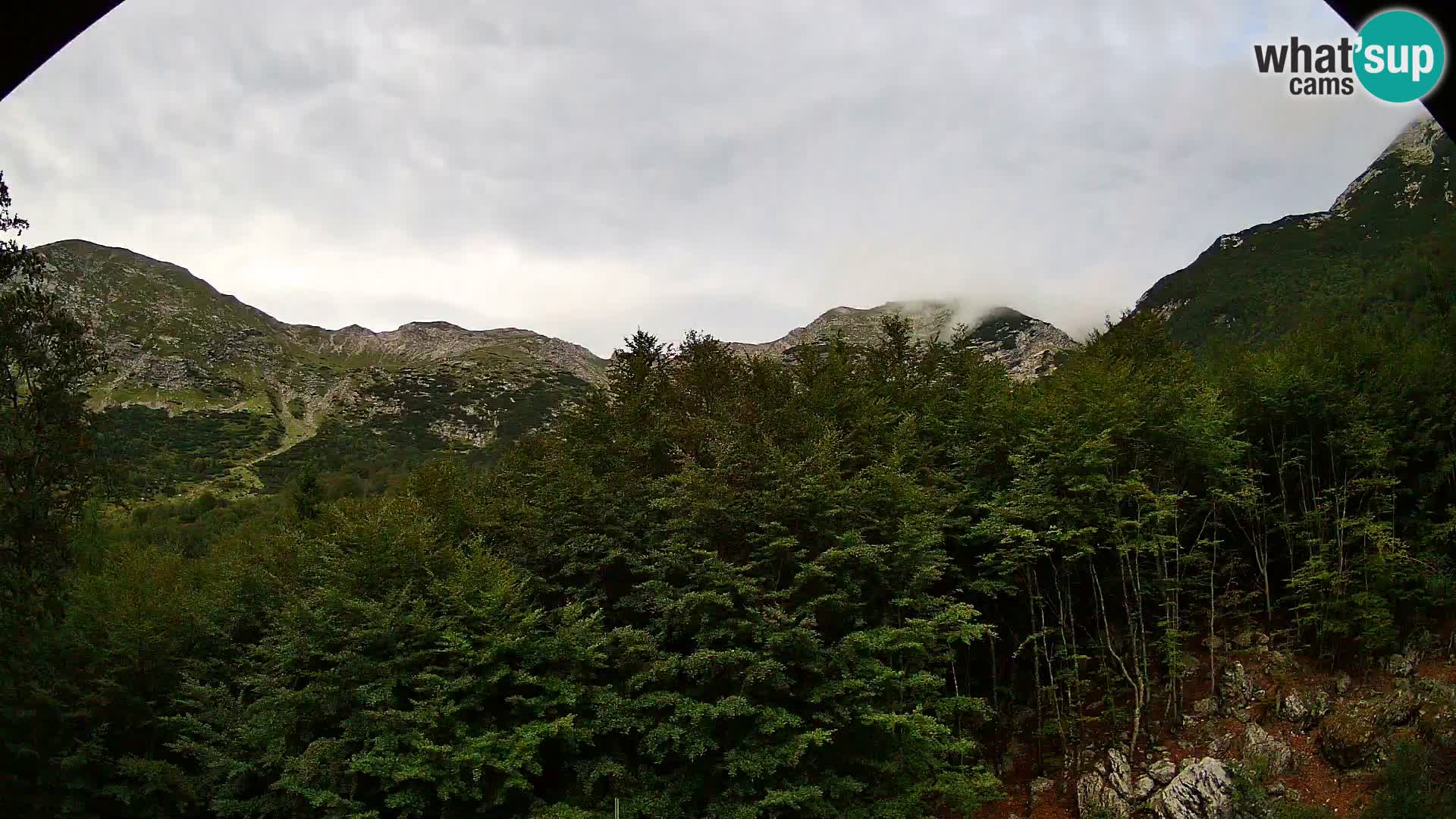 PLANINA RAZOR web kamera (1315) | pogled na Vogel i Globoko