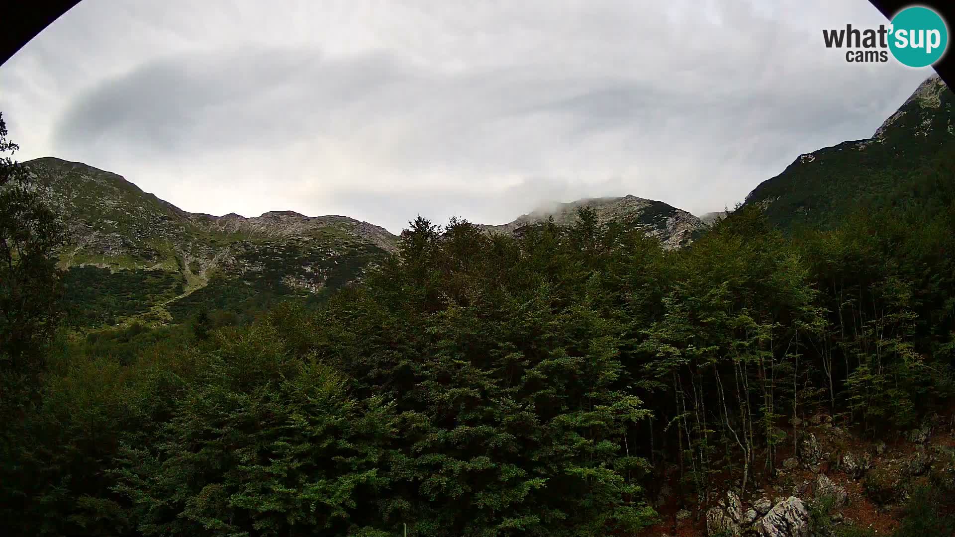 Webcam PLANINA RAZOR (1315) | Blick auf Vogel und Globoko