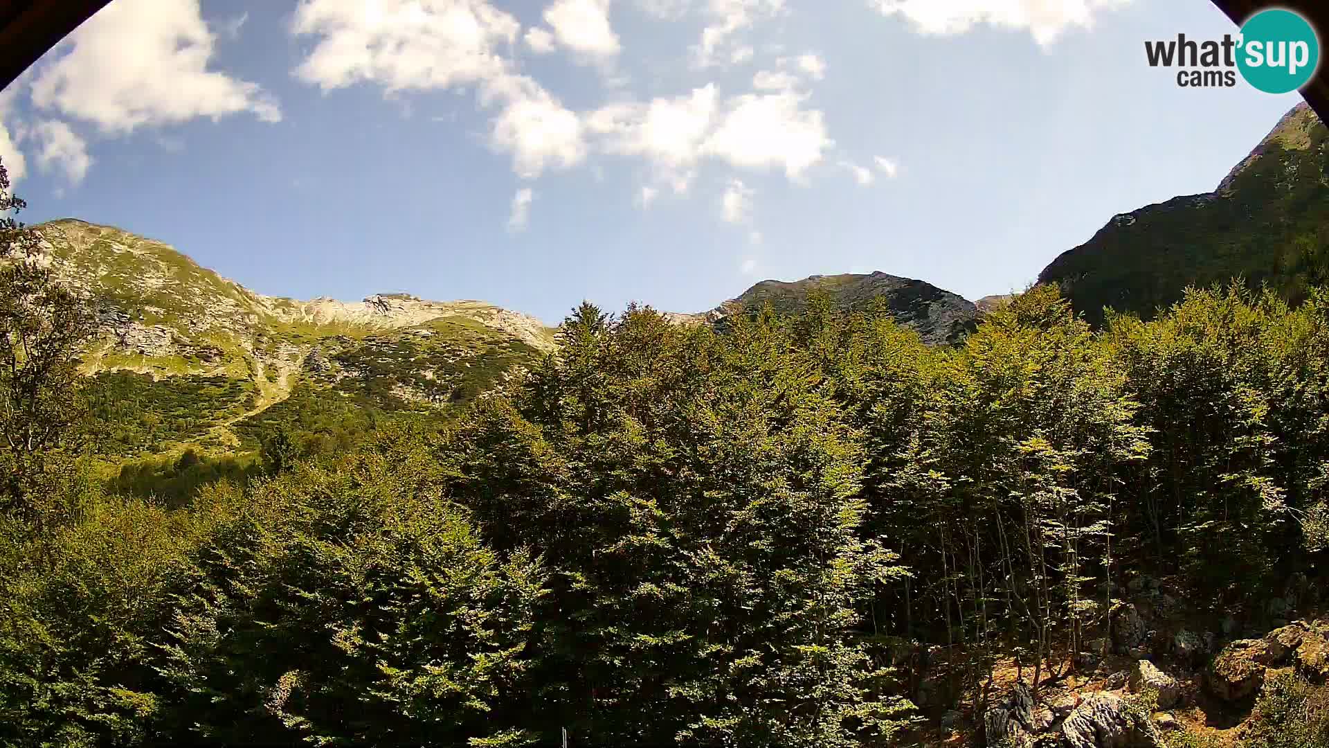 PLANINA RAZOR web kamera (1315) | pogled na Vogel i Globoko