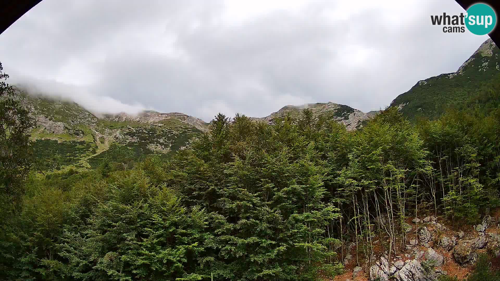 PLANINA RAZOR webcam (1315) | view to Vogel and Globoko