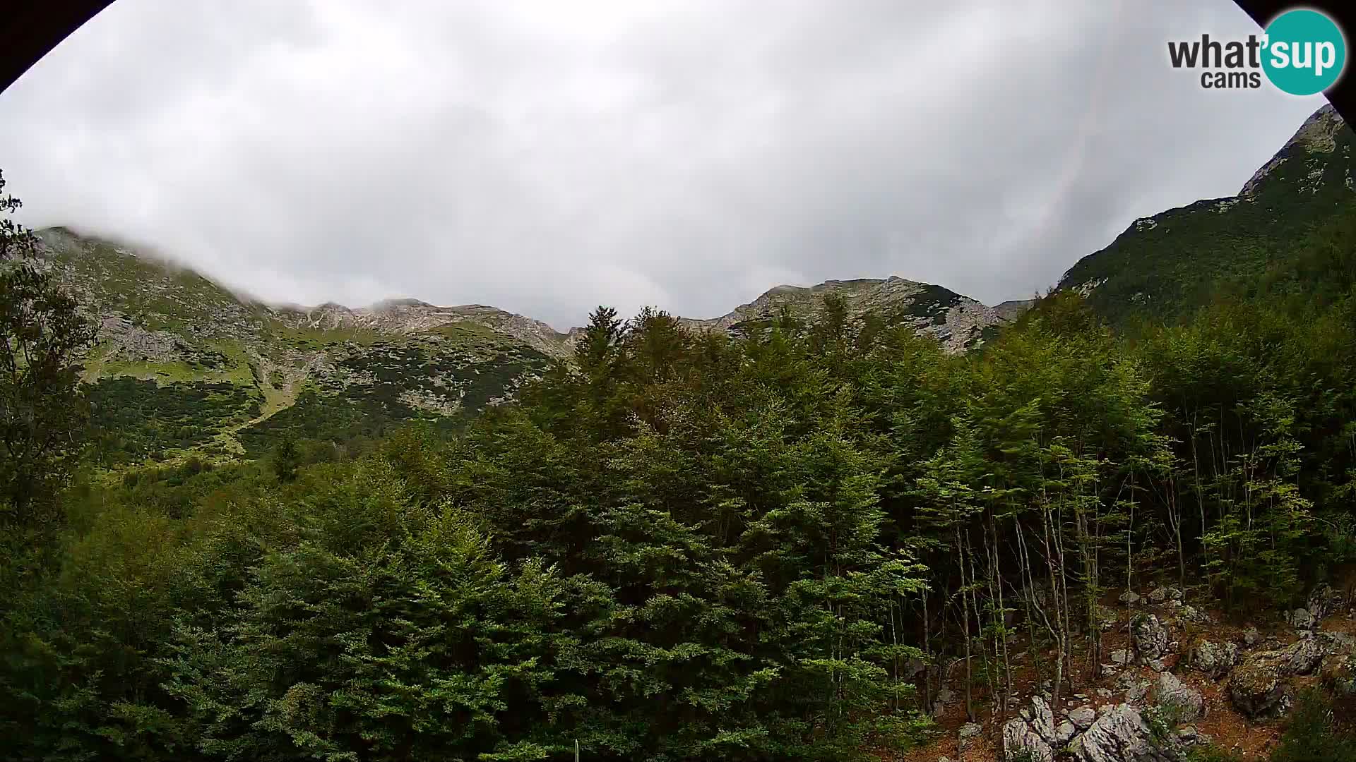 PLANINA RAZOR Live Cam (1315) | vista su Vogel e Globoko