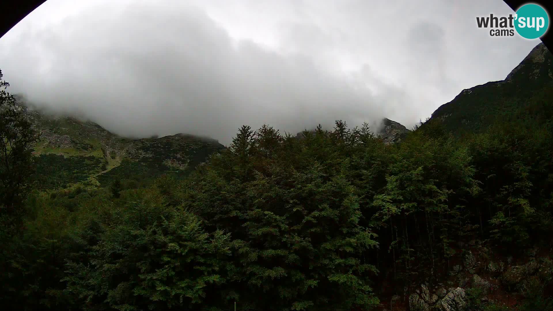 Livecam PLANINA RAZOR (1315) | vue sur Vogel et Globoko