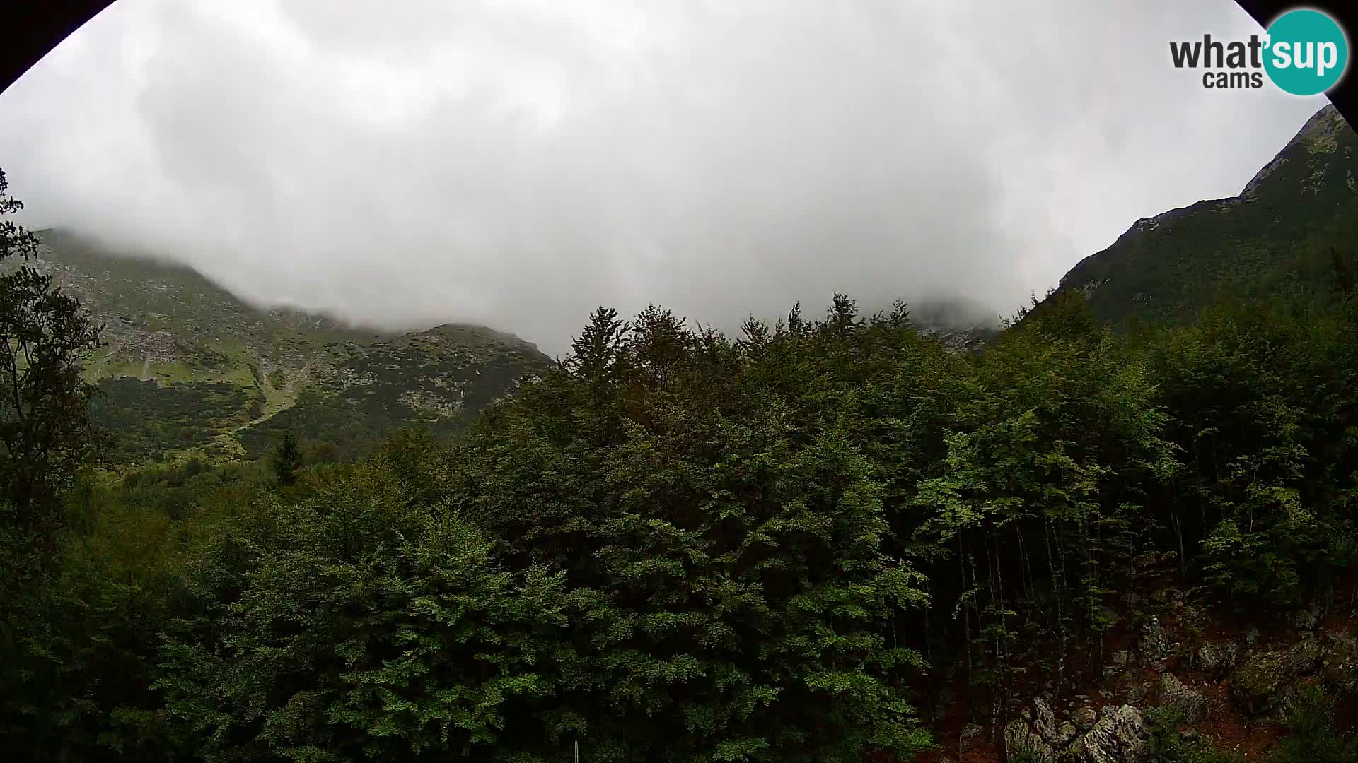 Livecam PLANINA RAZOR (1315) | vue sur Vogel et Globoko