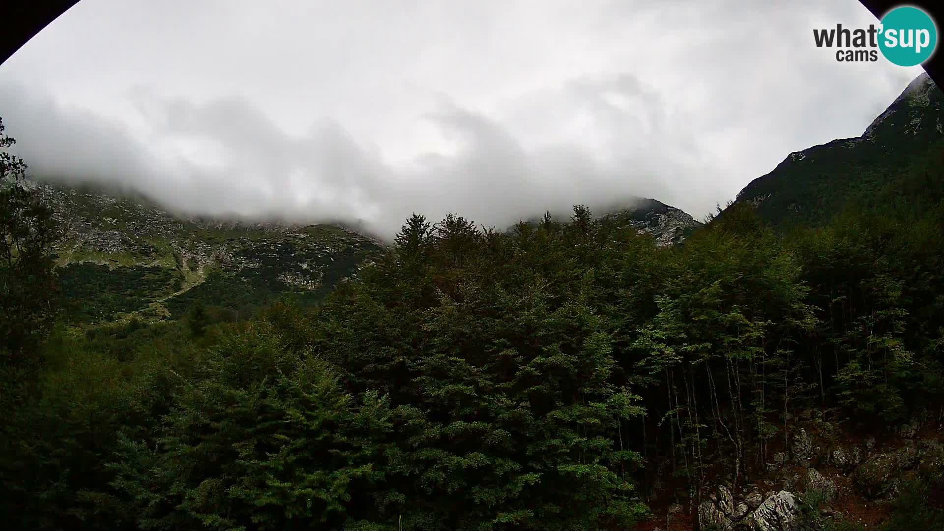 PLANINA RAZOR web kamera (1315) | pogled na Vogel i Globoko
