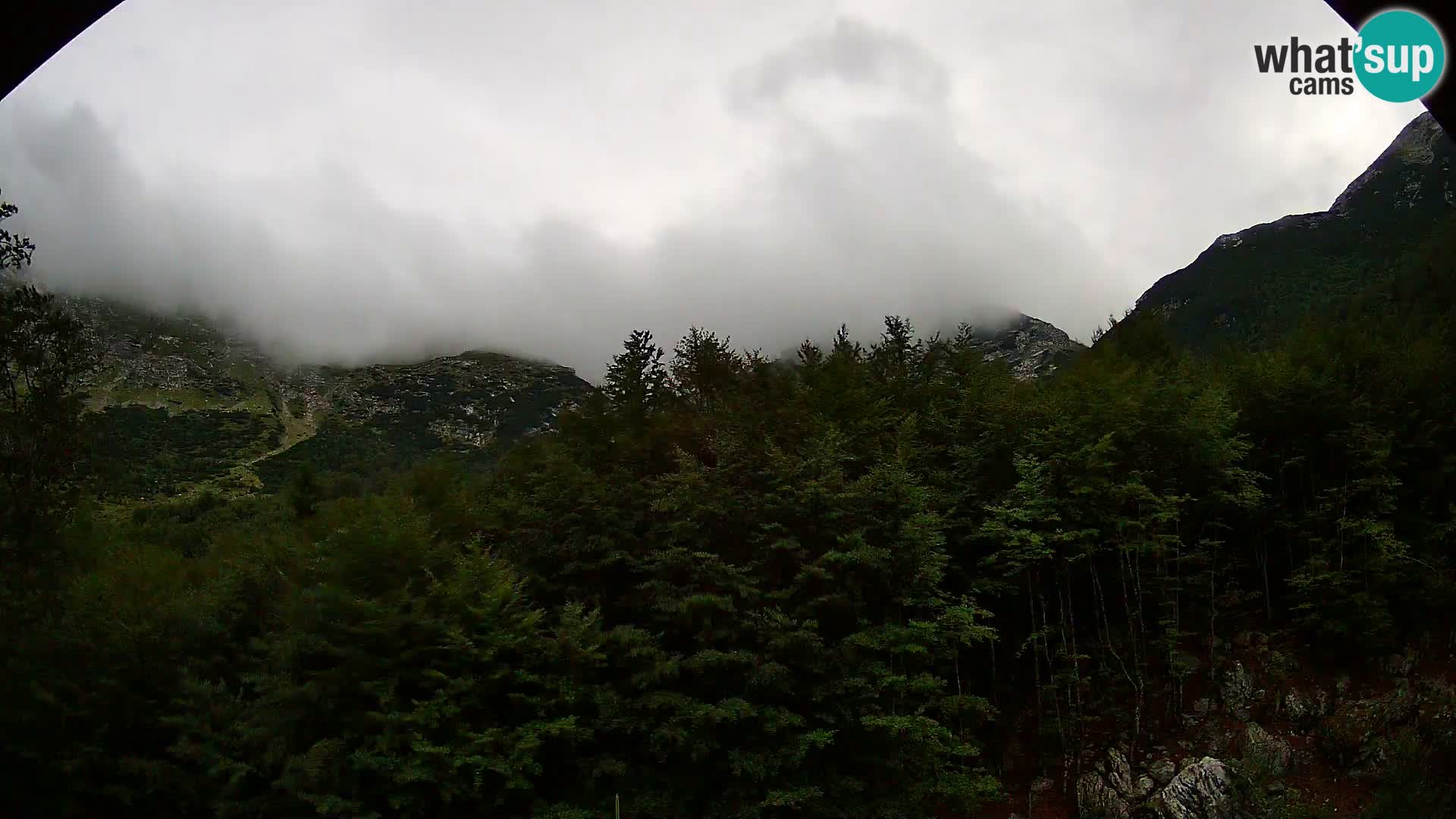 PLANINA RAZOR web kamera (1315) | pogled na Vogel i Globoko