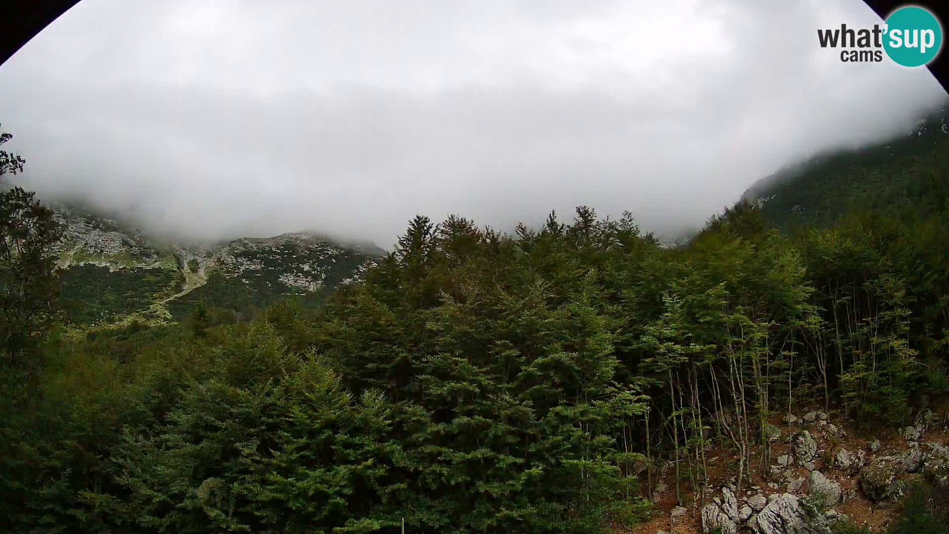PLANINA RAZOR webcam (1315) | view to Vogel and Globoko