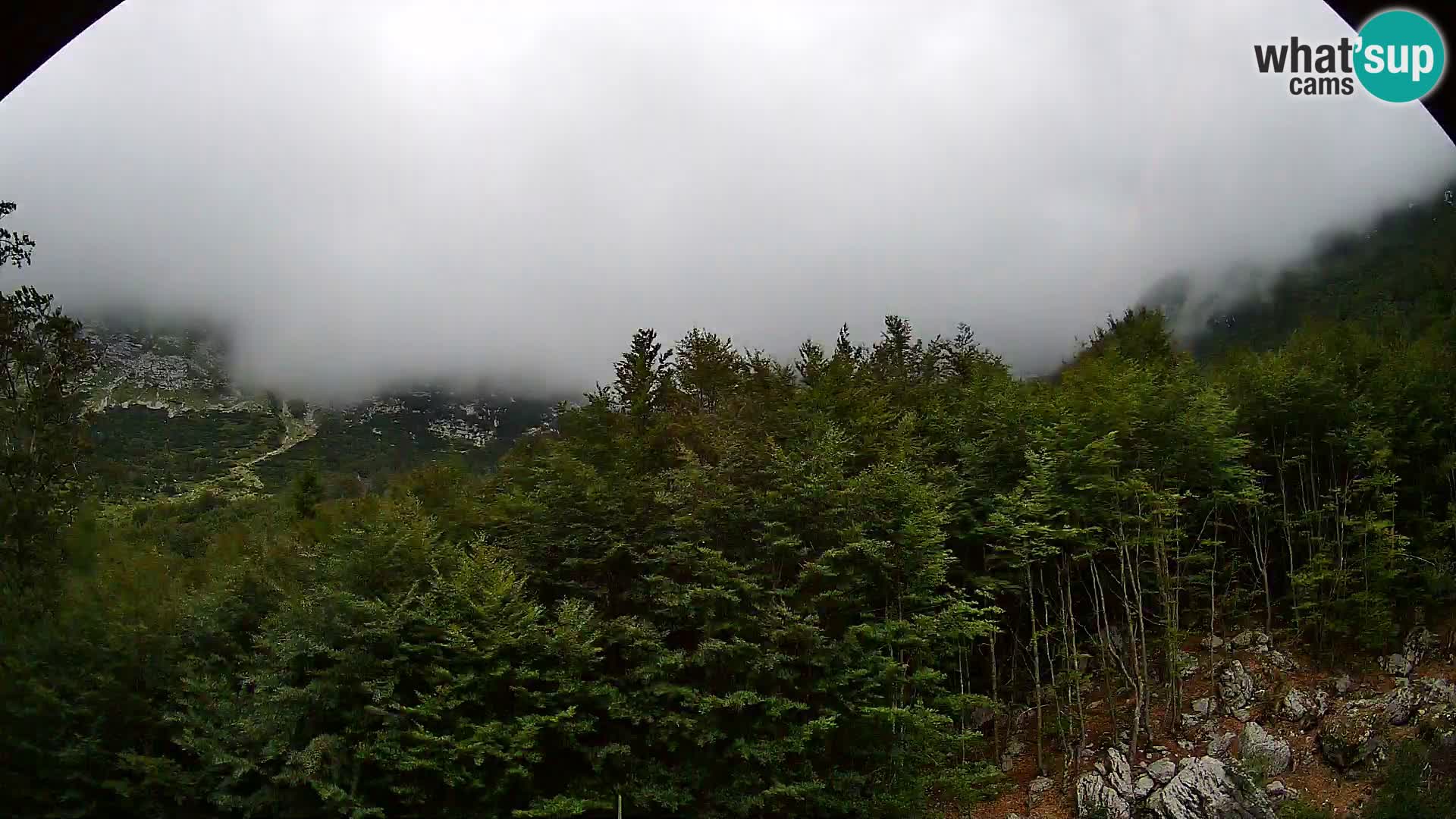 Webcam PLANINA RAZOR (1315) | Blick auf Vogel und Globoko