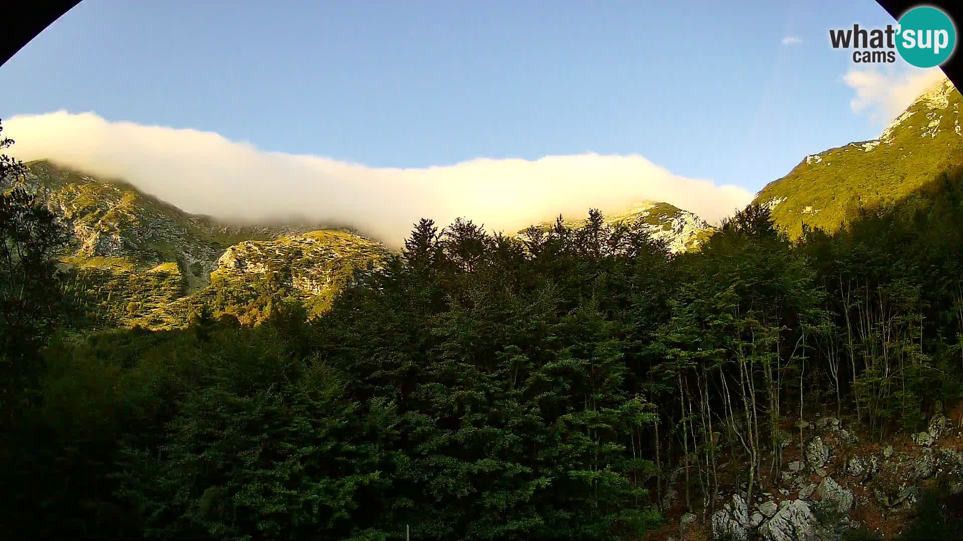 Webcam PLANINA RAZOR (1315) | Blick auf Vogel und Globoko