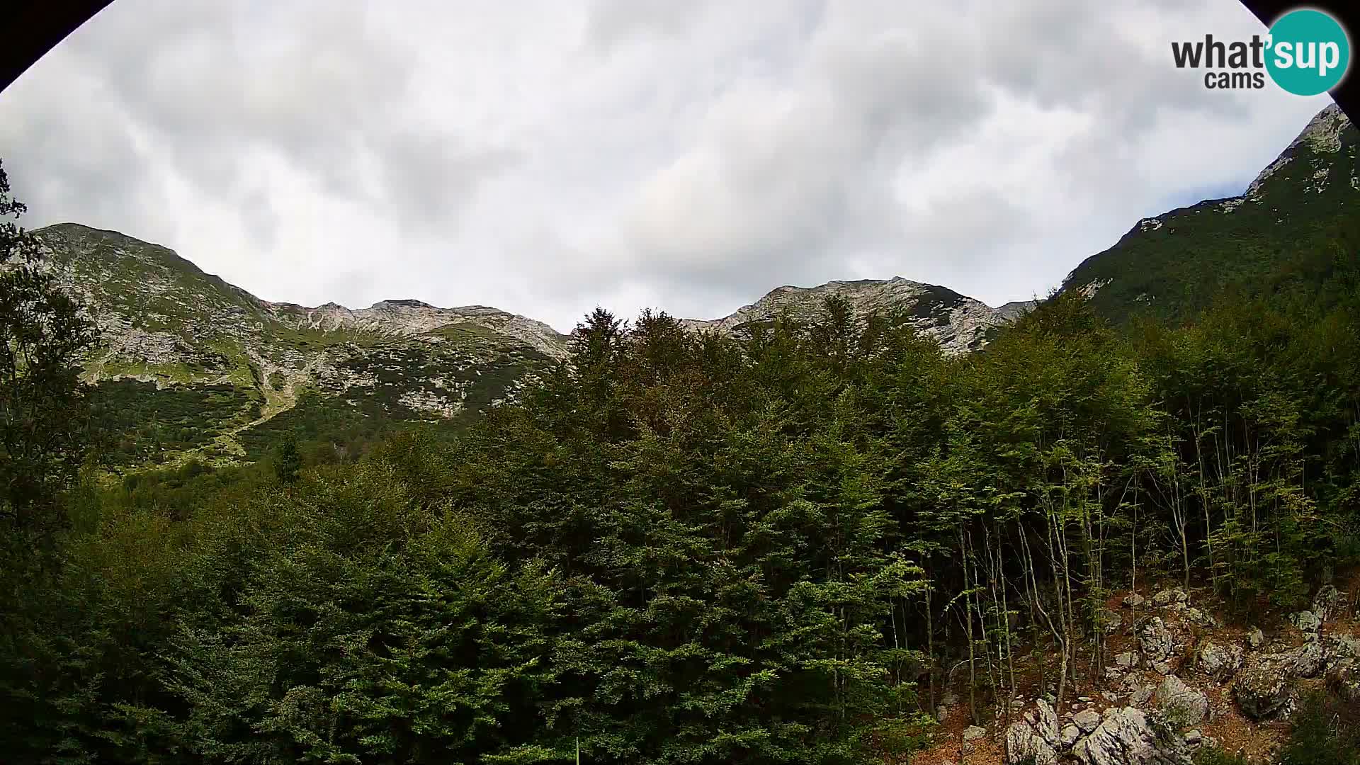 Cámara web PLANINA RAZOR (1315) | vista a Vogel y Globoko