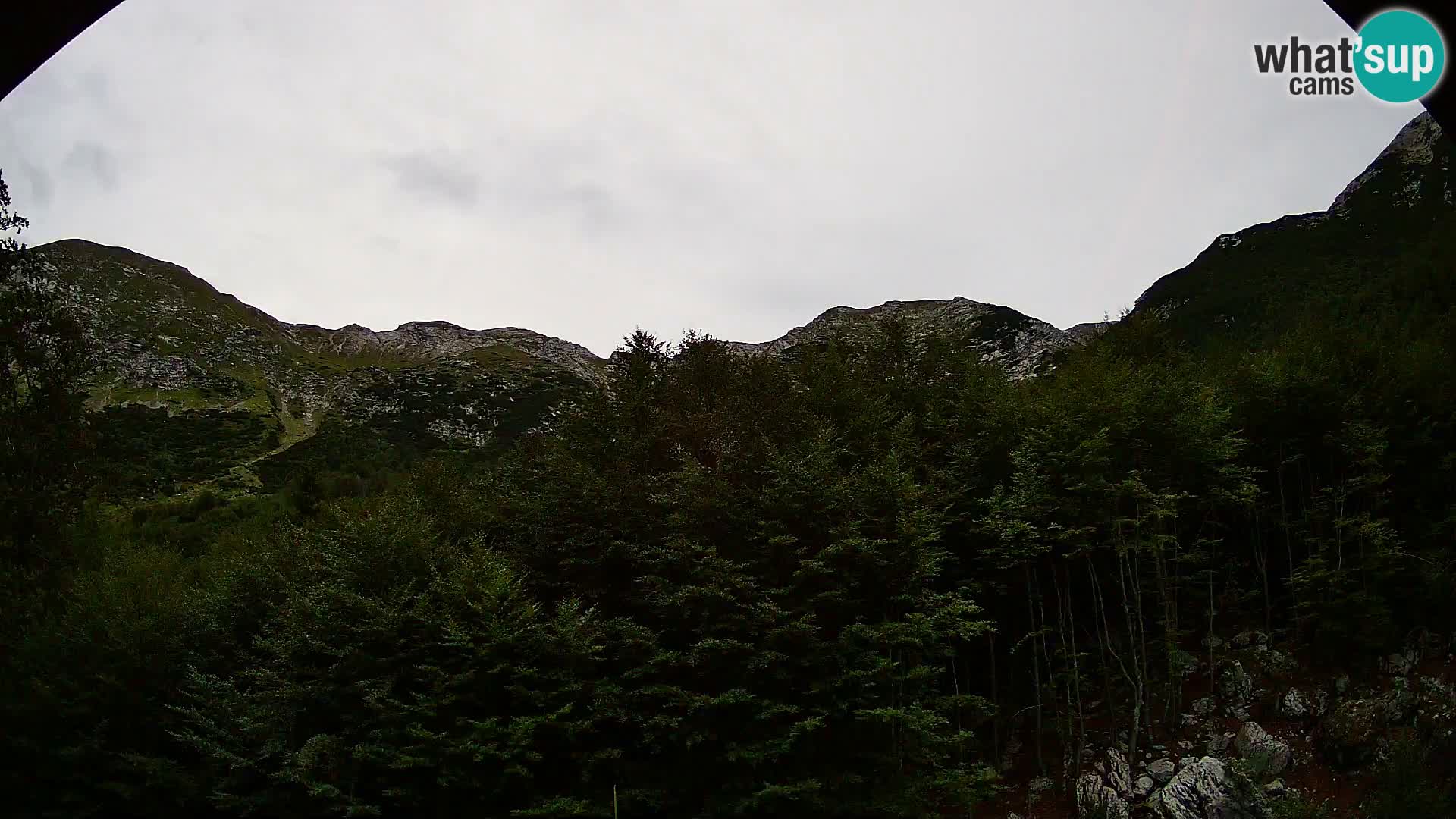 PLANINA RAZOR Live Cam (1315) | vista su Vogel e Globoko