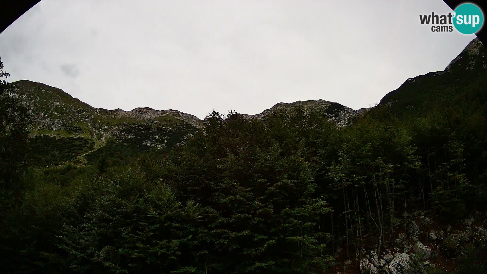 PLANINA RAZOR kamera (1315) | pogled na Vogel in Globoko