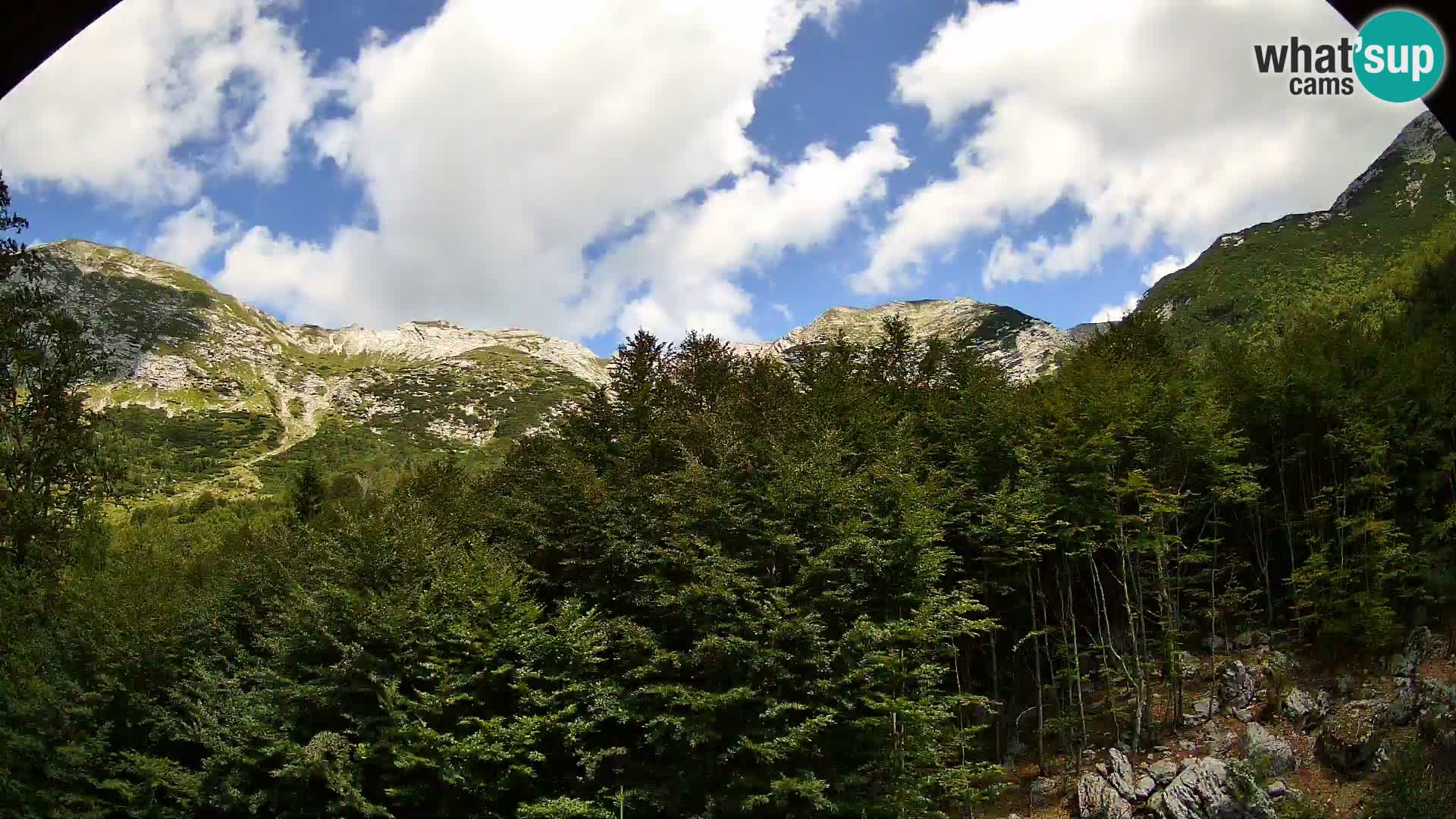 PLANINA RAZOR kamera (1315) | pogled na Vogel in Globoko