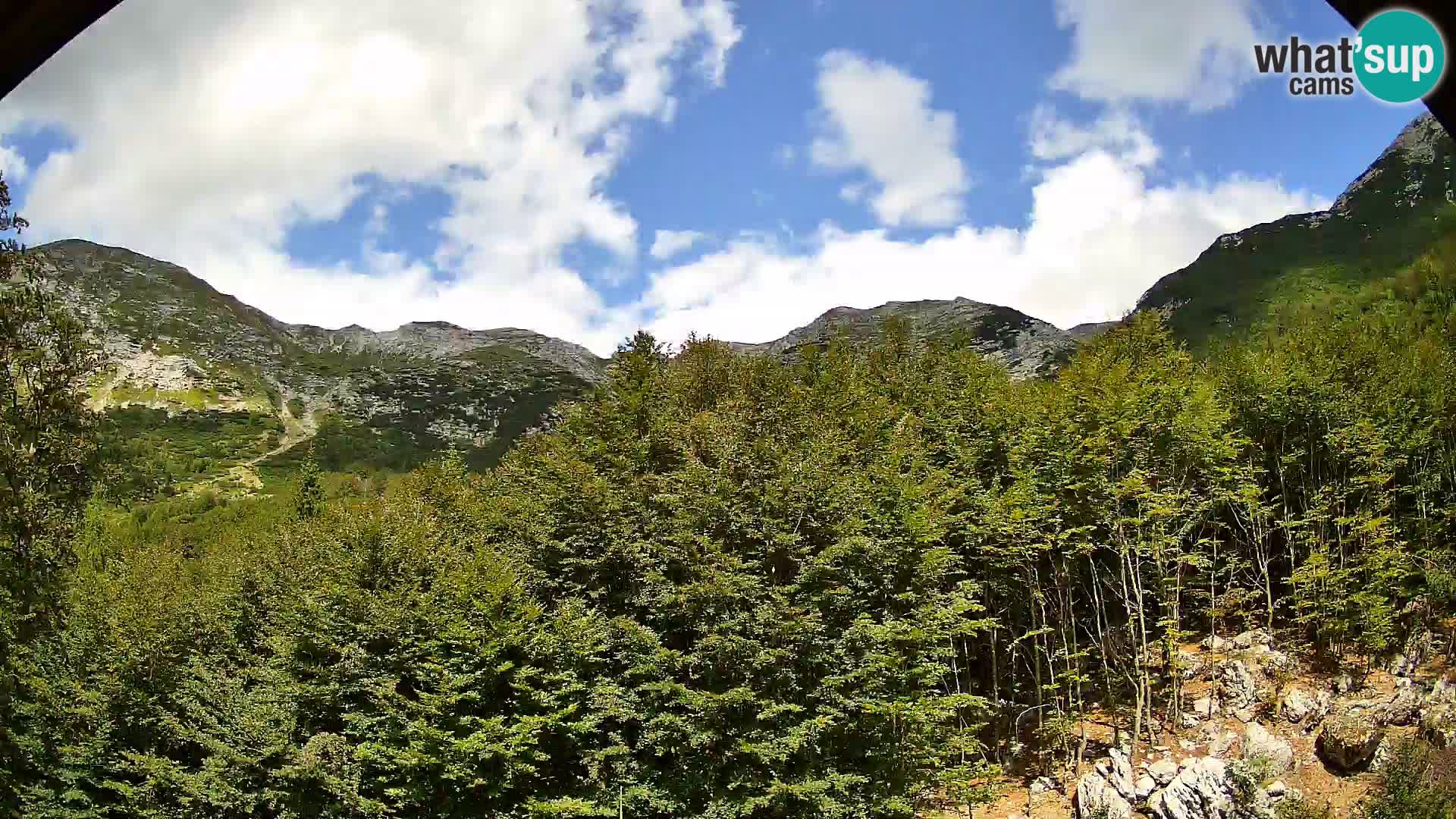 Webcam PLANINA RAZOR (1315) | Blick auf Vogel und Globoko
