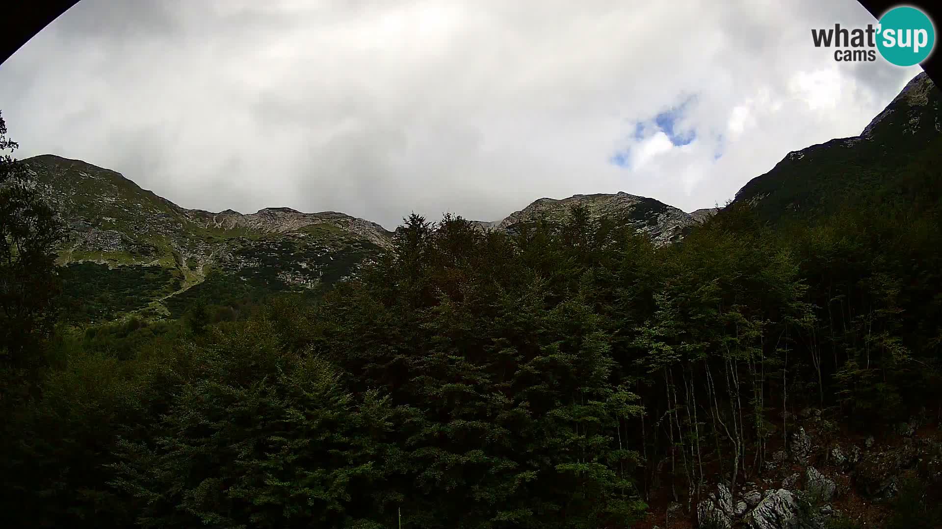 Livecam PLANINA RAZOR (1315) | vue sur Vogel et Globoko