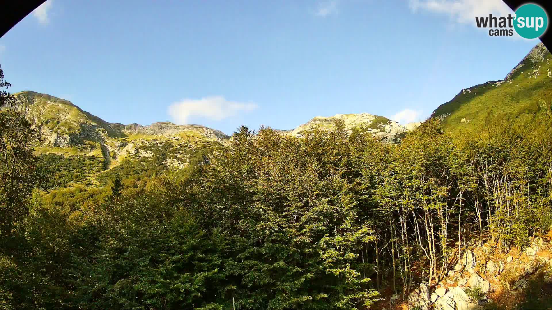Webcam PLANINA RAZOR (1315) | Blick auf Vogel und Globoko