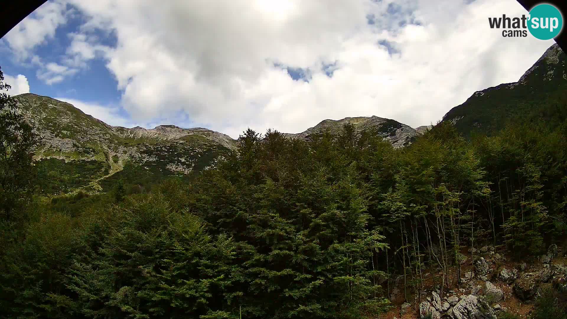 Webcam PLANINA RAZOR (1315) | Blick auf Vogel und Globoko