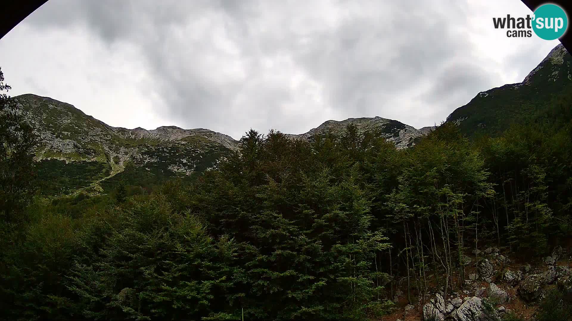 Webcam PLANINA RAZOR (1315) | Blick auf Vogel und Globoko