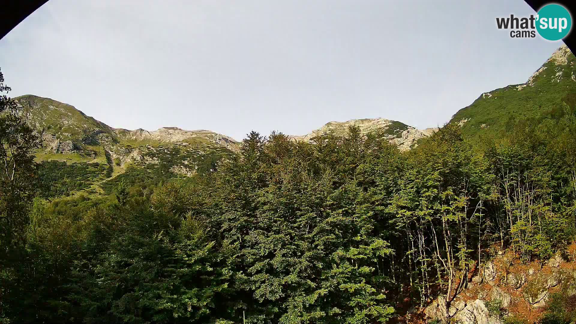 PLANINA RAZOR Live Cam (1315) | vista su Vogel e Globoko