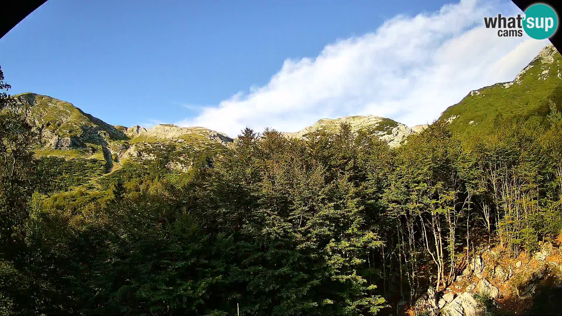 Webcam PLANINA RAZOR (1315) | Blick auf Vogel und Globoko
