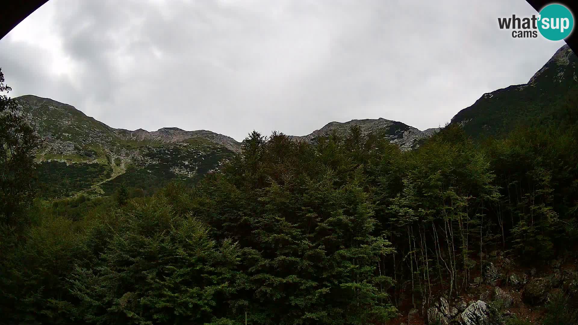 Cámara web PLANINA RAZOR (1315) | vista a Vogel y Globoko