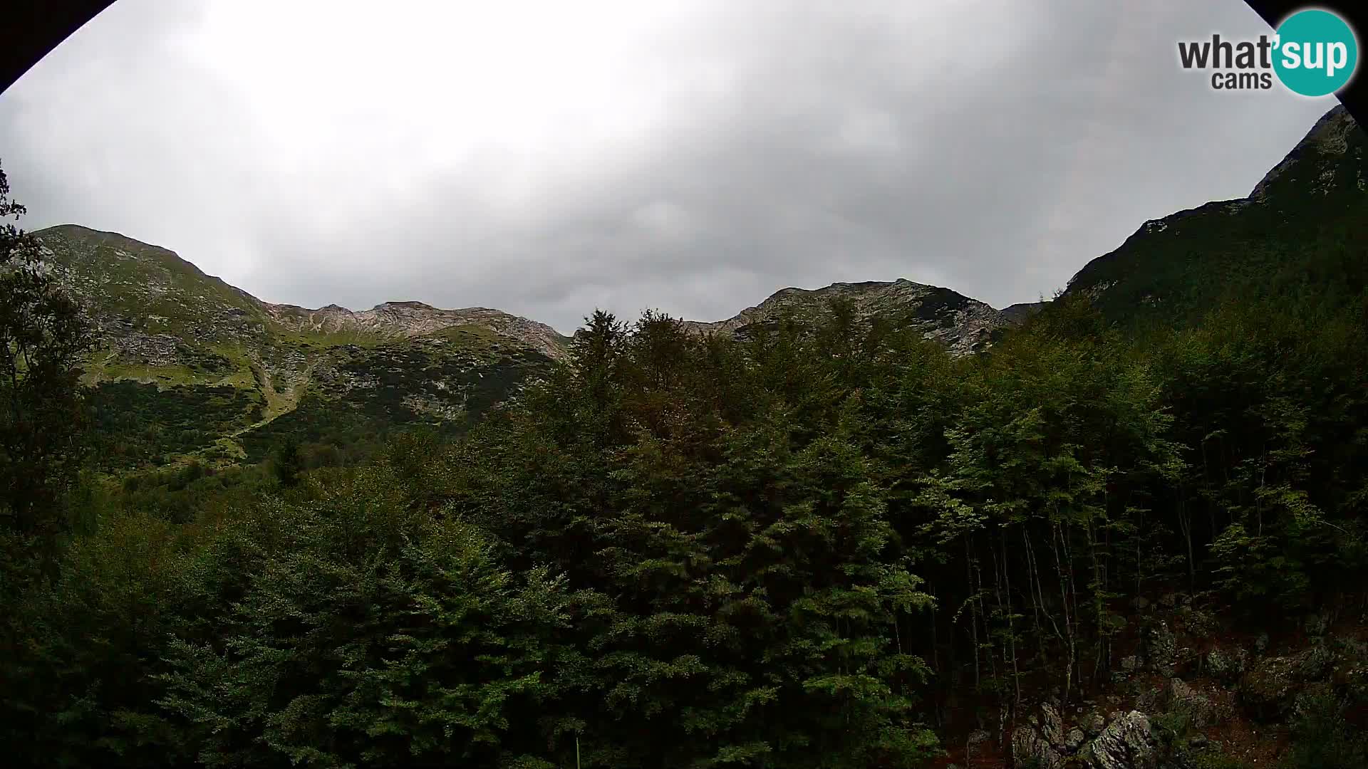 PLANINA RAZOR kamera (1315) | pogled na Vogel in Globoko
