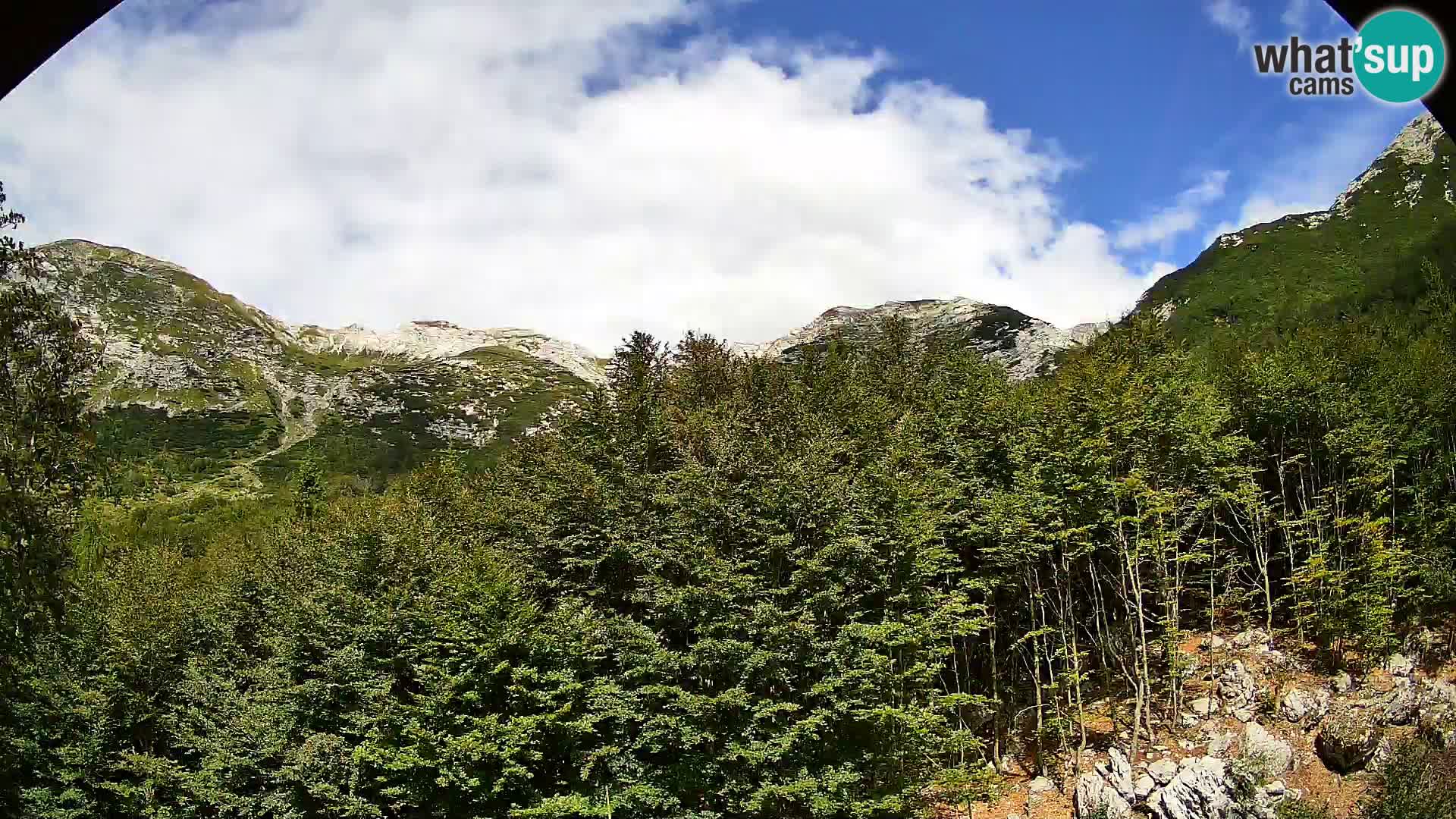 Livecam PLANINA RAZOR (1315) | vue sur Vogel et Globoko