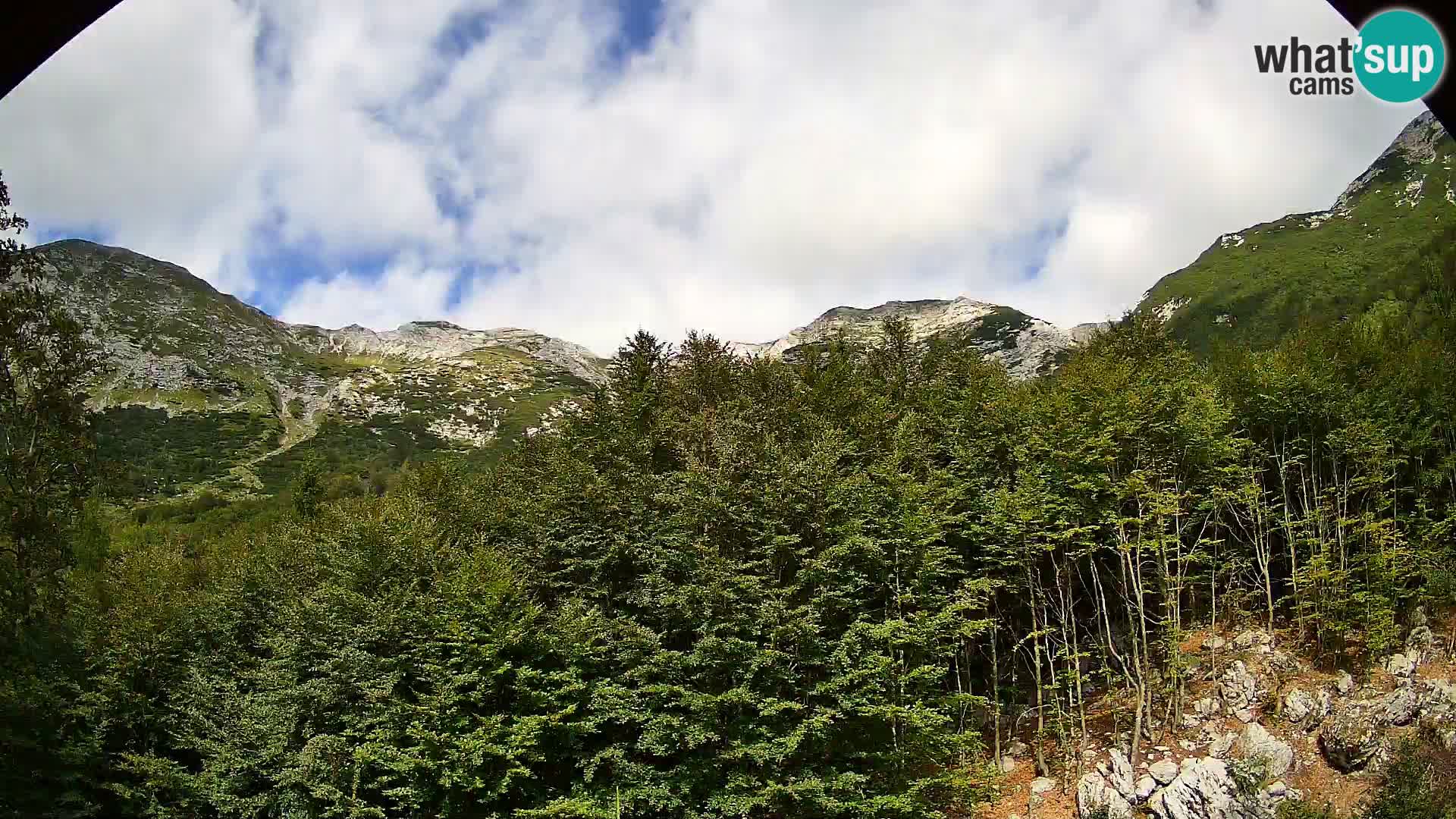 Livecam PLANINA RAZOR (1315) | vue sur Vogel et Globoko