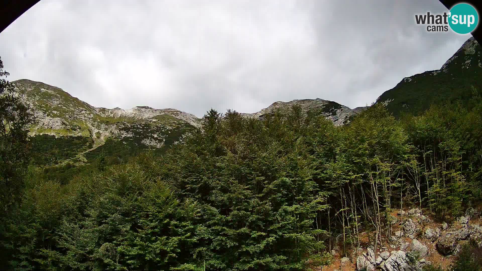 Webcam PLANINA RAZOR (1315) | Blick auf Vogel und Globoko