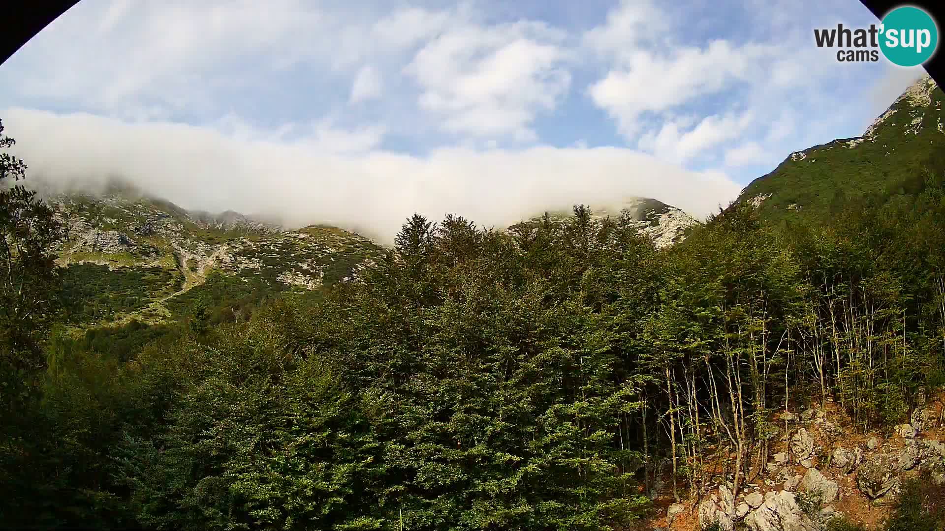 PLANINA RAZOR webcam (1315) | view to Vogel and Globoko