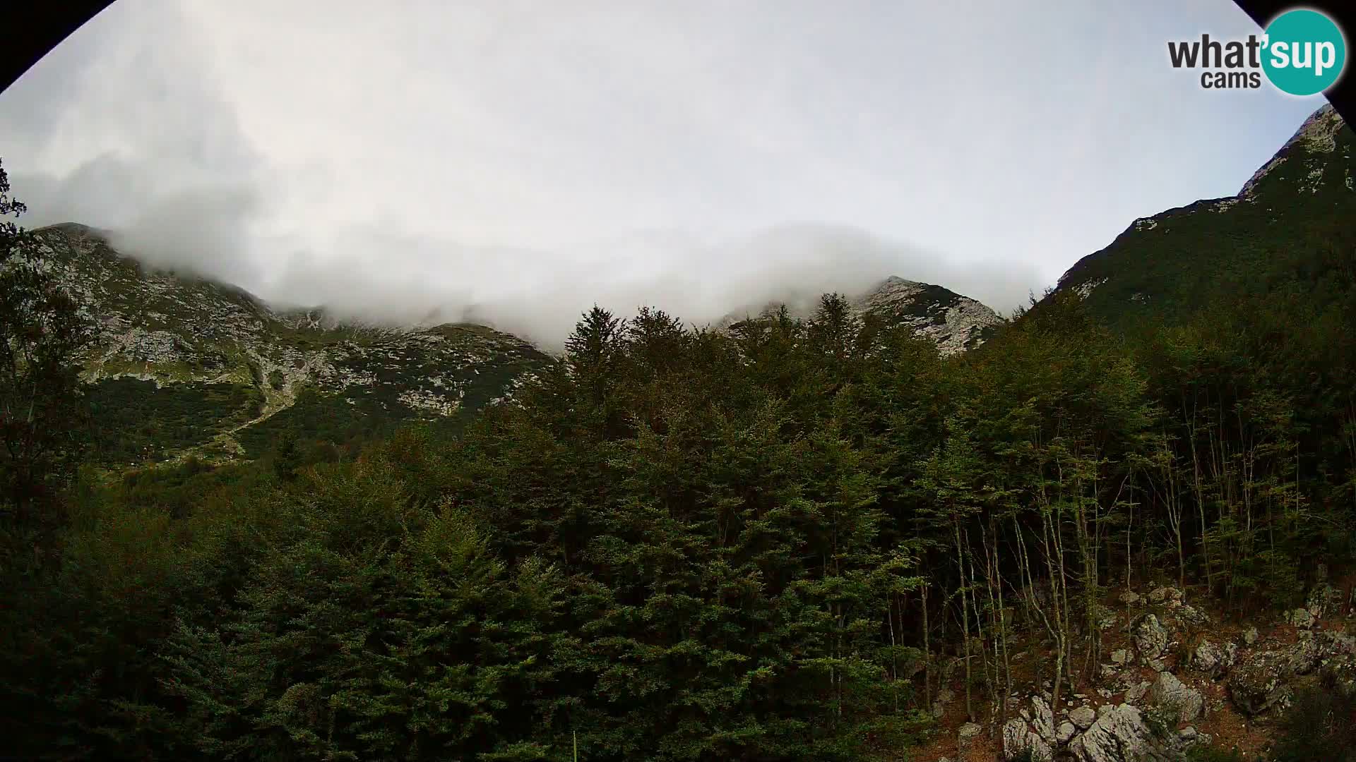 Webcam PLANINA RAZOR (1315) | Blick auf Vogel und Globoko