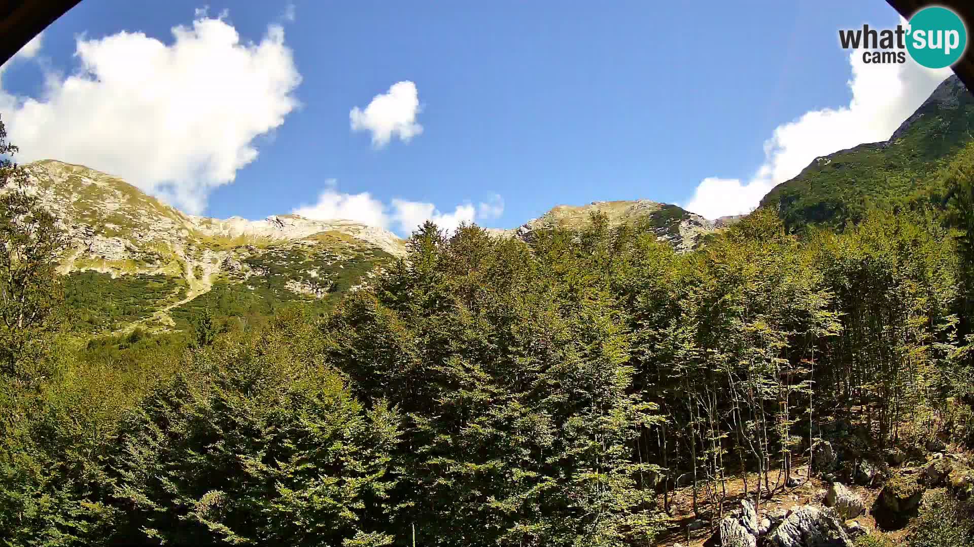 PLANINA RAZOR kamera (1315) | pogled na Vogel in Globoko