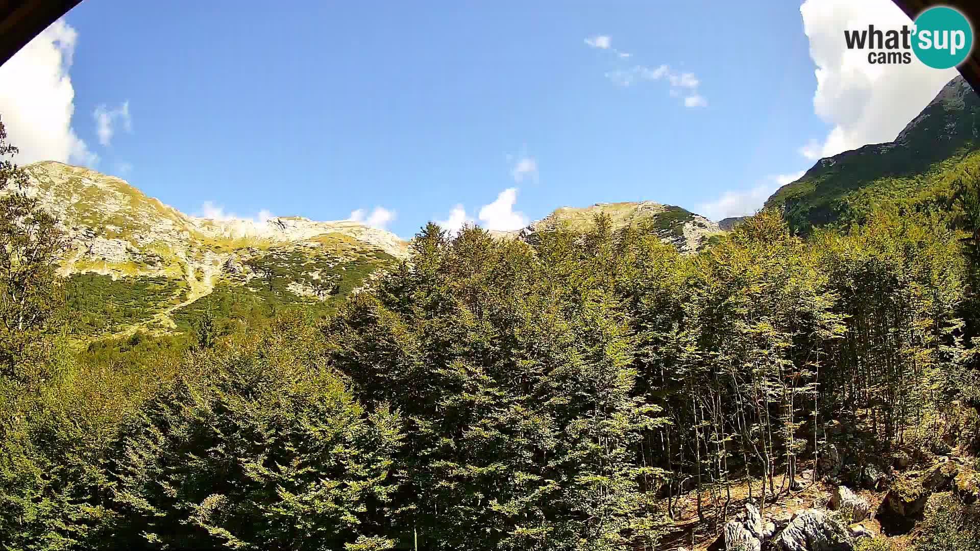 PLANINA RAZOR web kamera (1315) | pogled na Vogel i Globoko