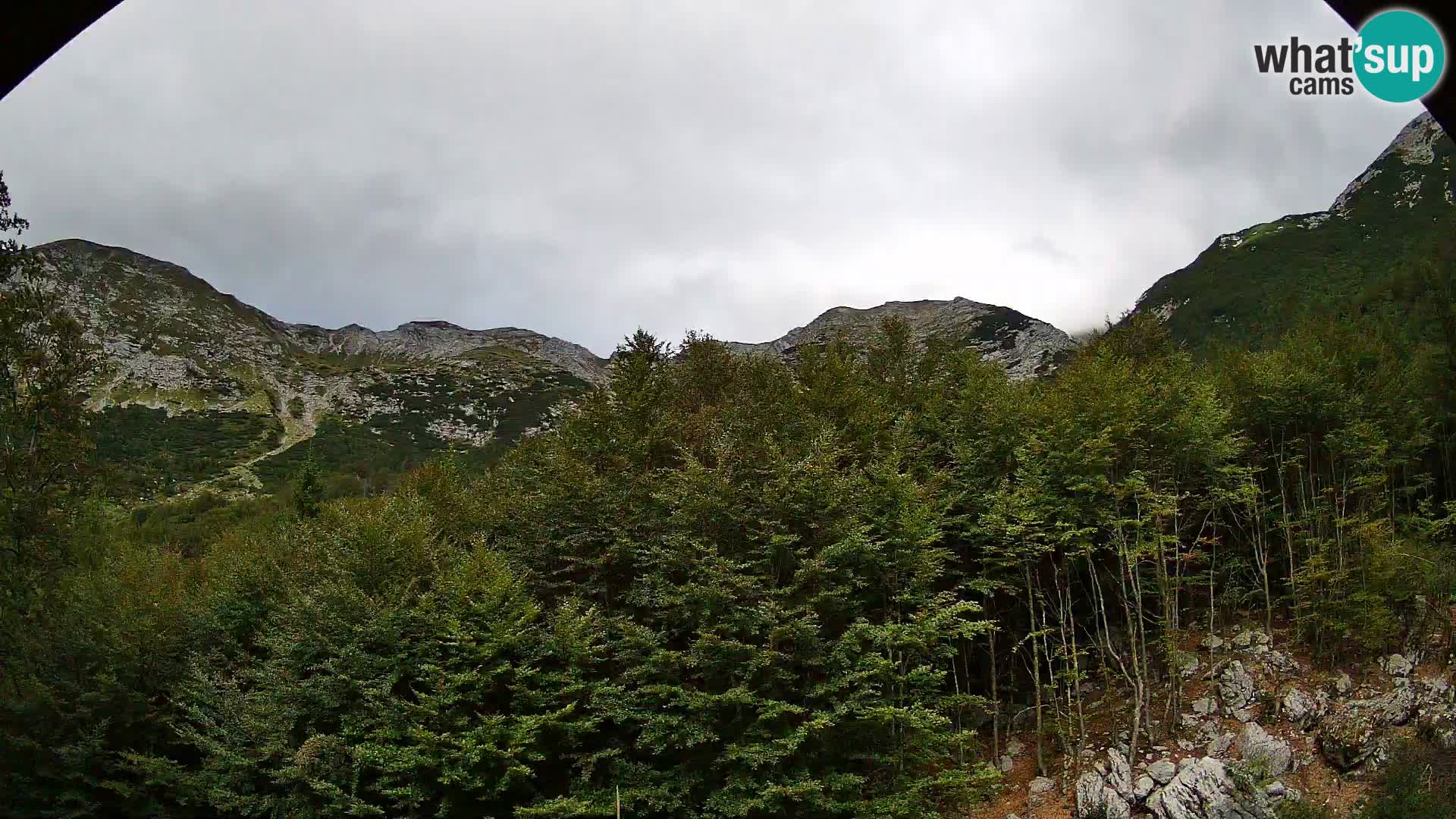 Webcam PLANINA RAZOR (1315) | Blick auf Vogel und Globoko