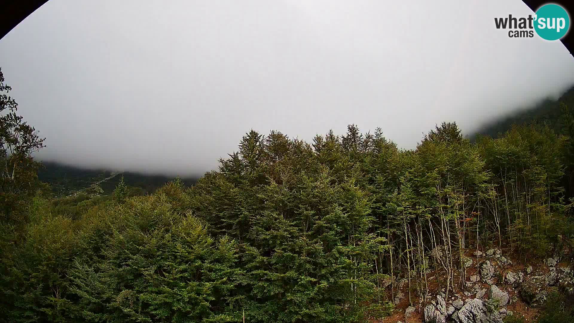 PLANINA RAZOR Live Cam (1315) | vista su Vogel e Globoko