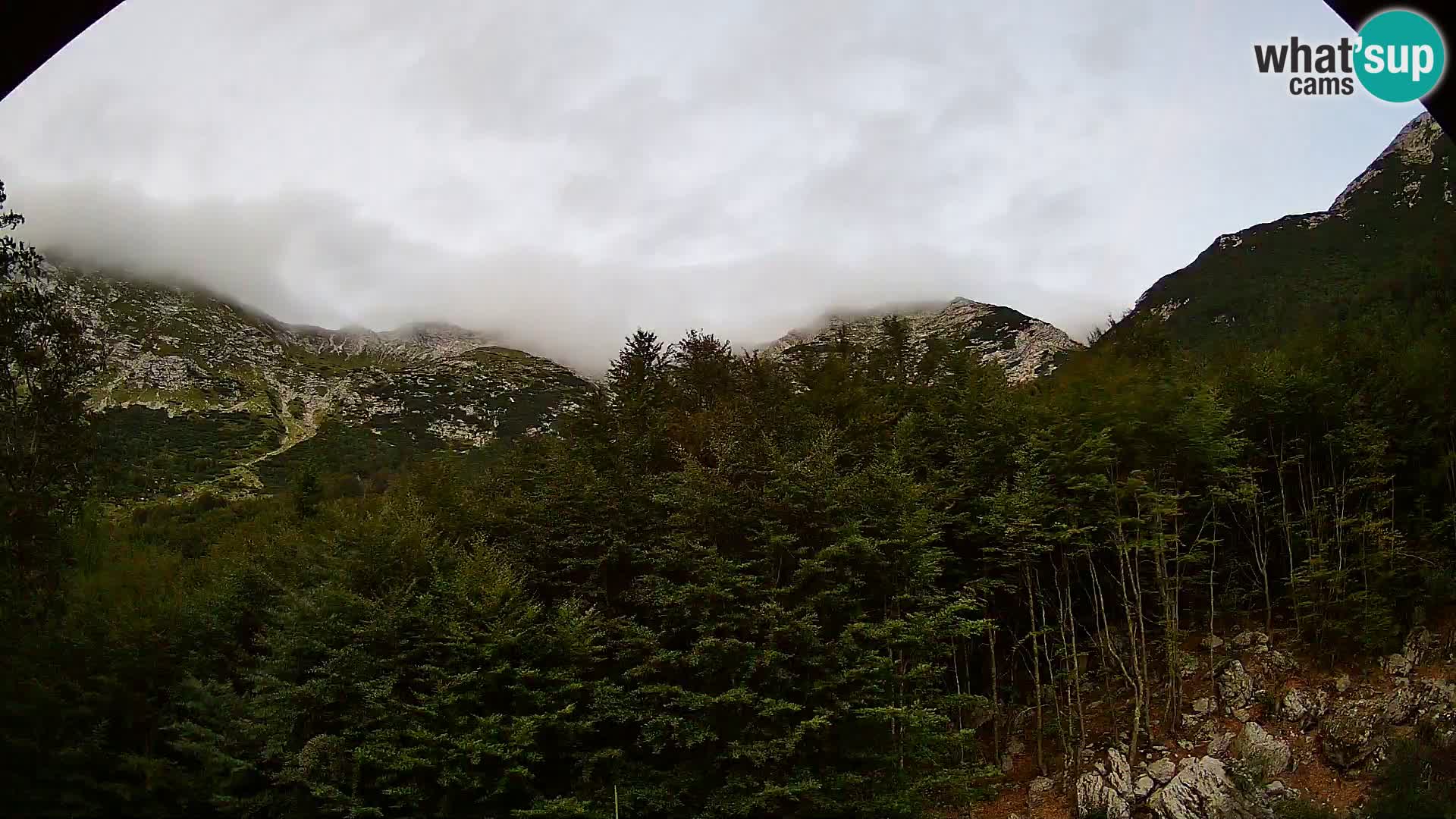 PLANINA RAZOR webcam (1315) | view to Vogel and Globoko