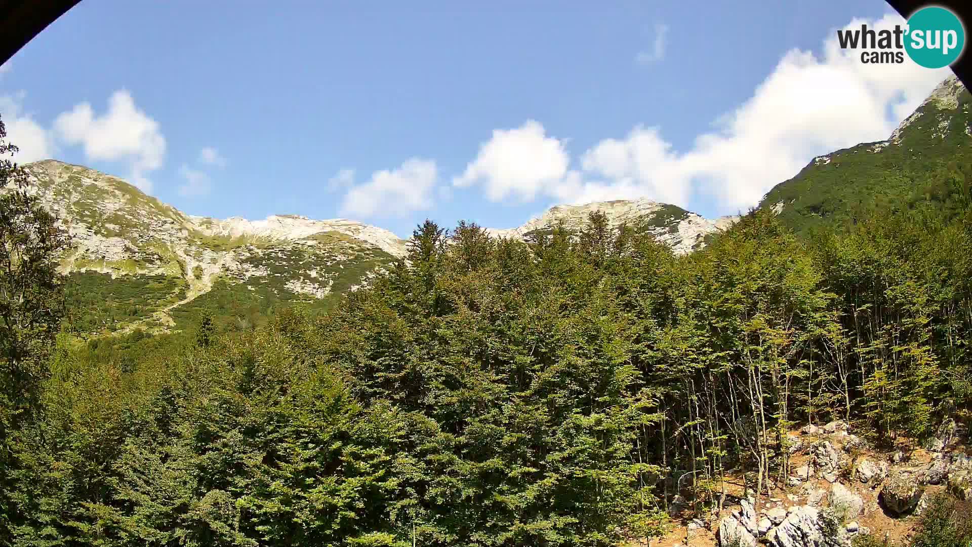 PLANINA RAZOR Live Cam (1315) | vista su Vogel e Globoko