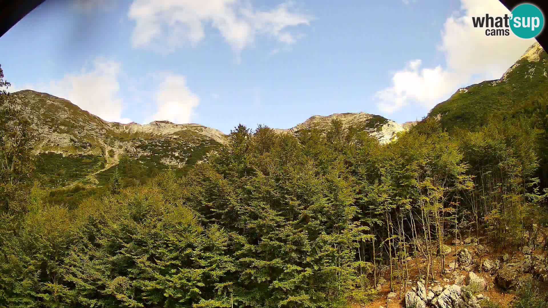 Cámara web PLANINA RAZOR (1315) | vista a Vogel y Globoko