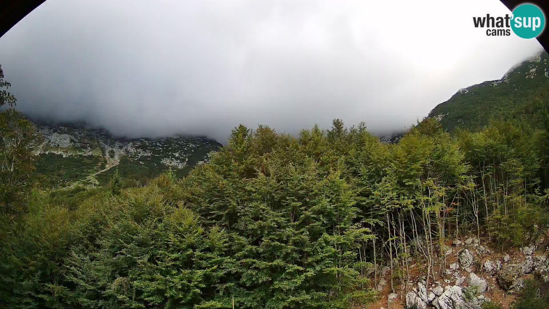 PLANINA RAZOR Live Cam (1315) | vista su Vogel e Globoko