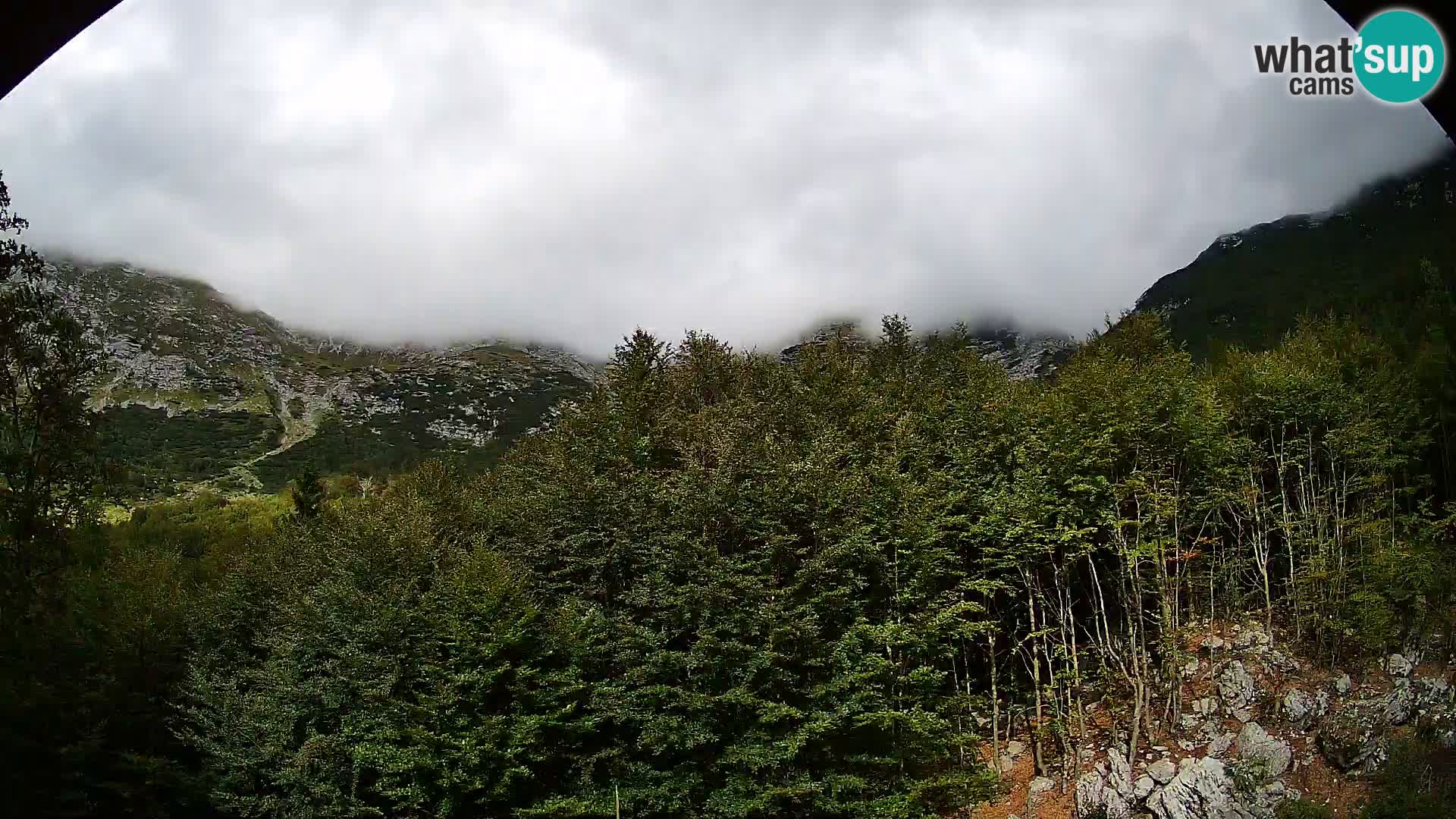 Livecam PLANINA RAZOR (1315) | vue sur Vogel et Globoko