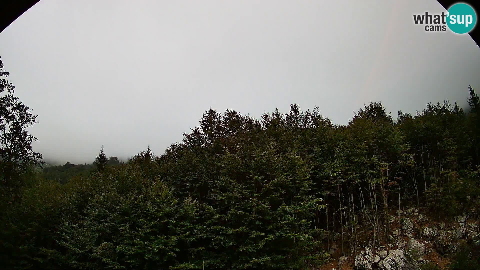 PLANINA RAZOR webcam (1315) | view to Vogel and Globoko